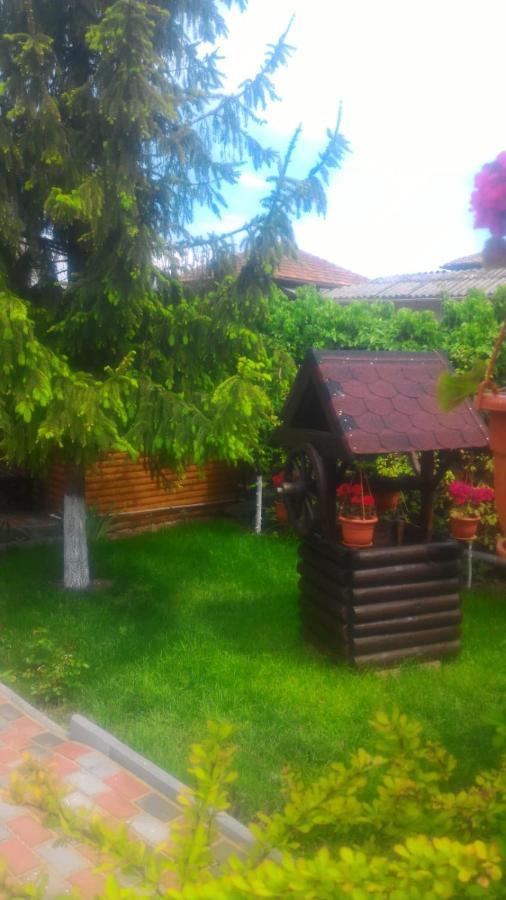 Апартаменты Casa Mola Мангалия Экстерьер фото